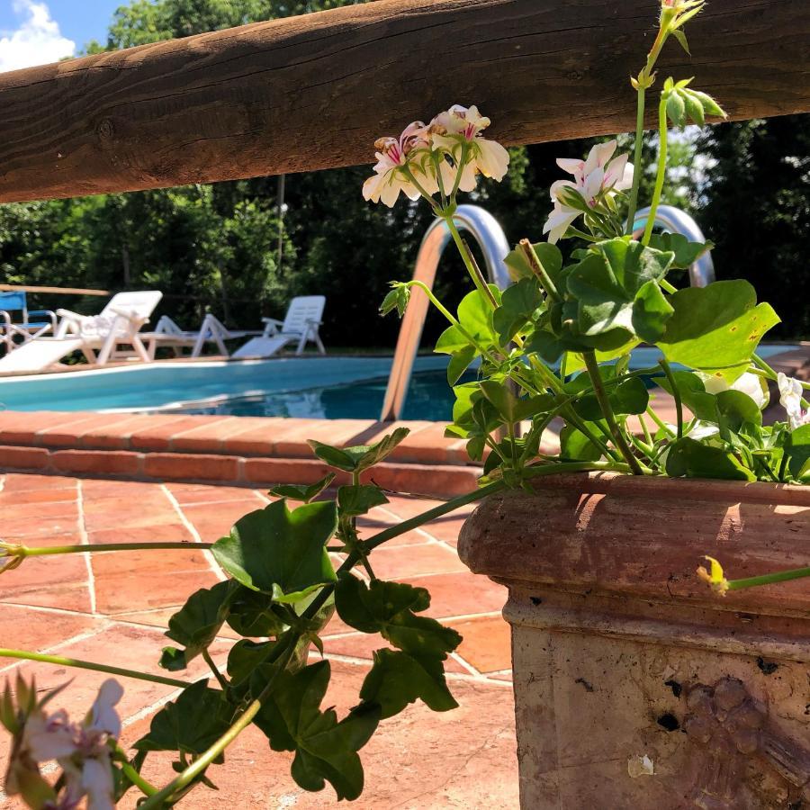 Villa Magda Todi Ngoại thất bức ảnh